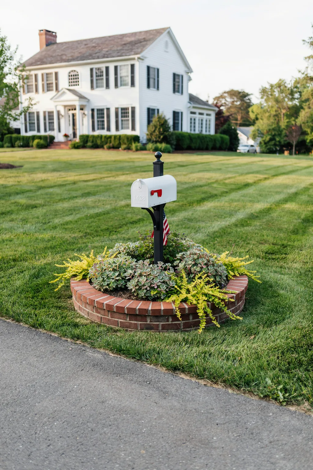 Brick Surround With Groundcover