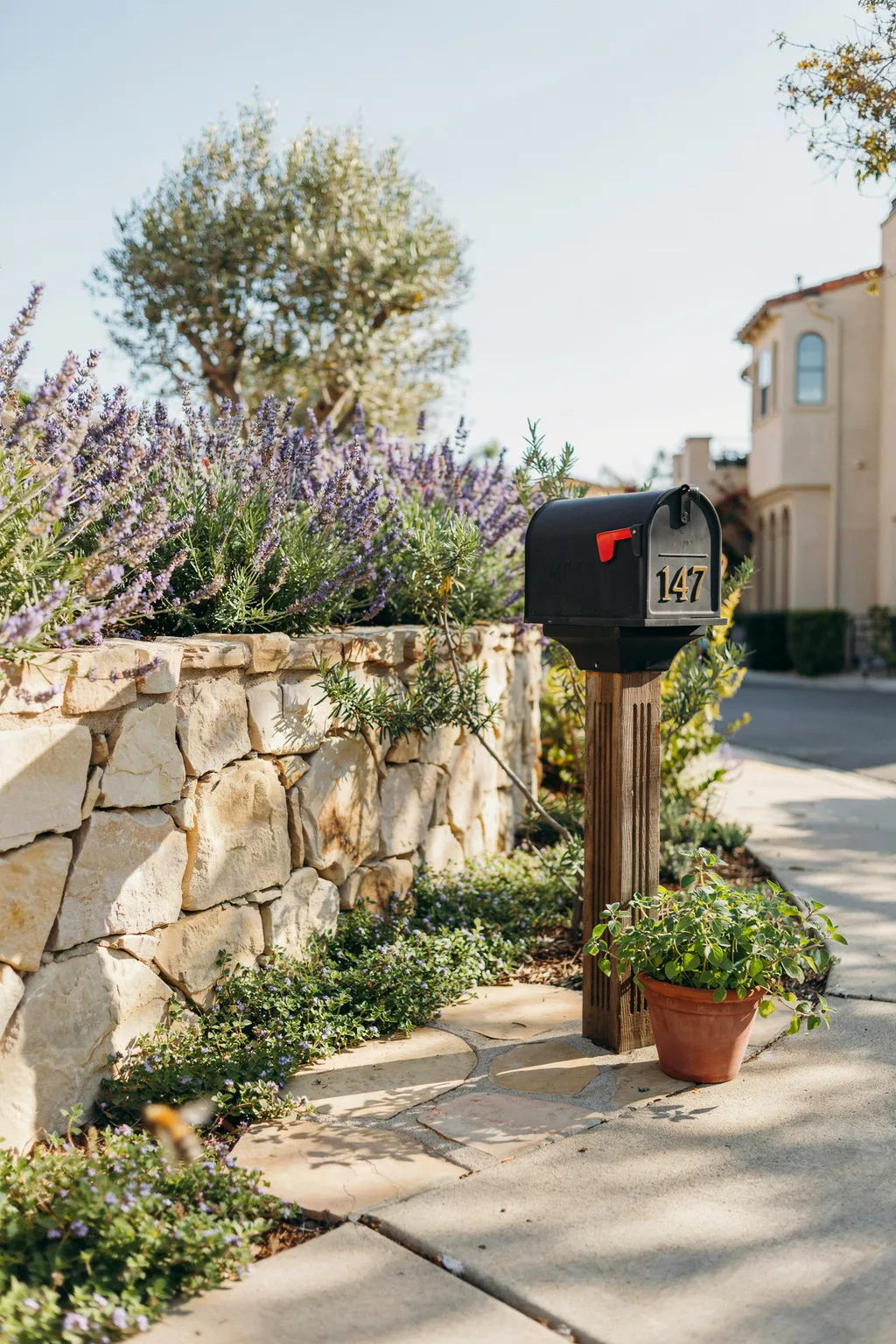 Drought-Tolerant Herb Garden