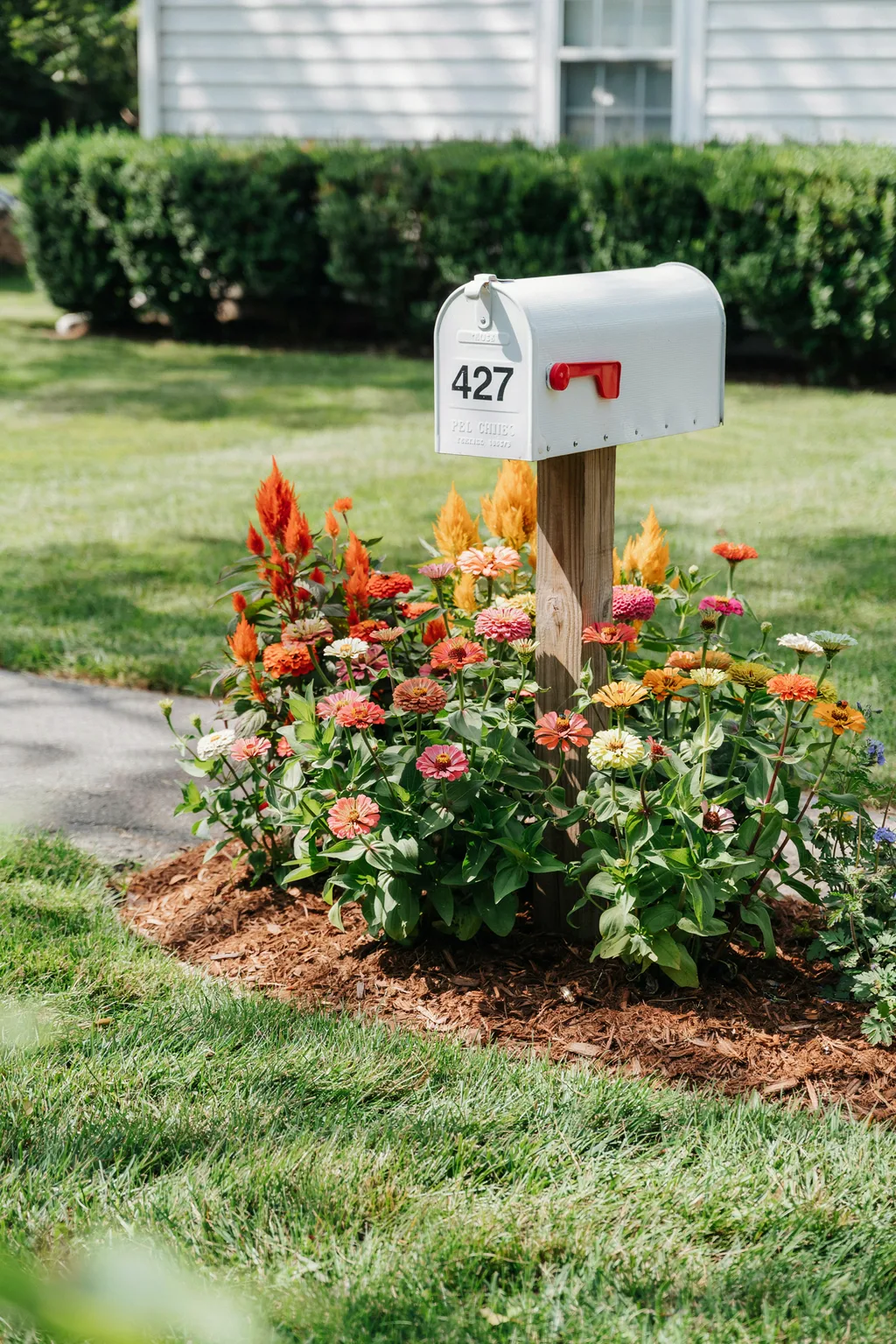 Edged Mulch Bed With Bold Annuals