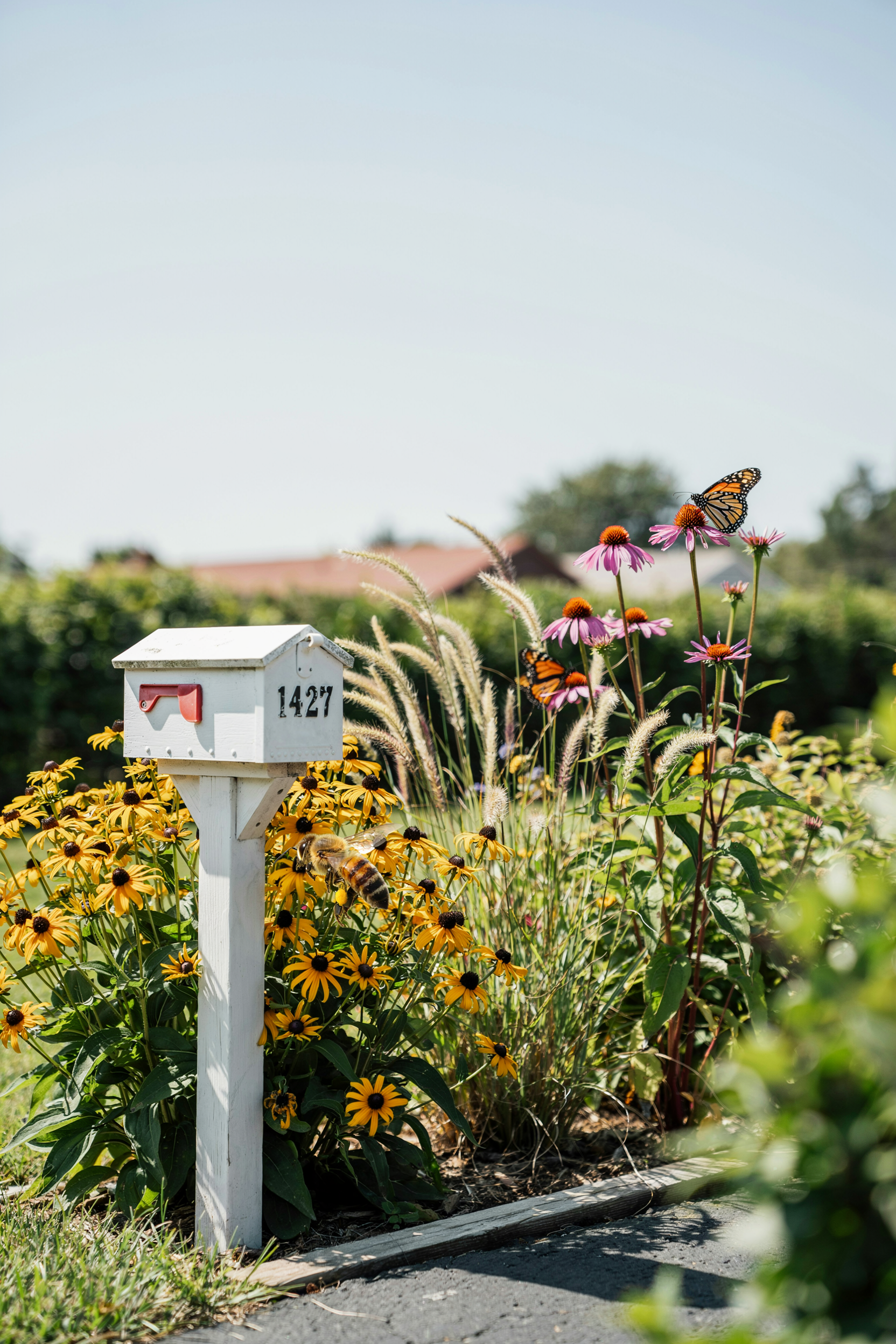 Native Plant Garden