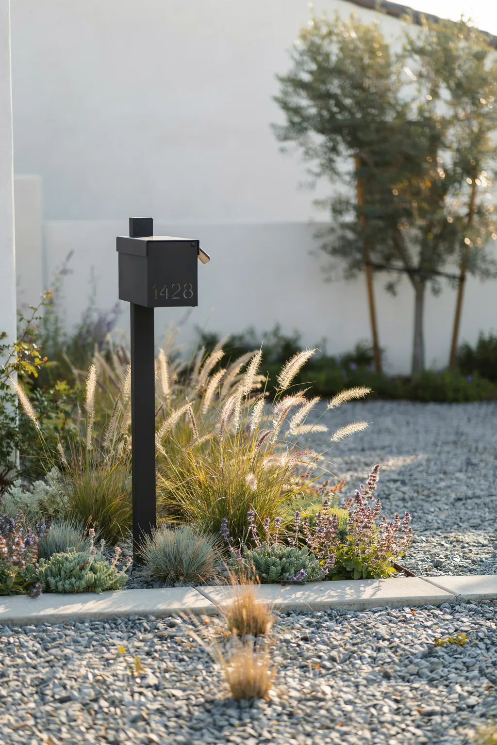 Ornamental Grasses for Low-Maintenance Style