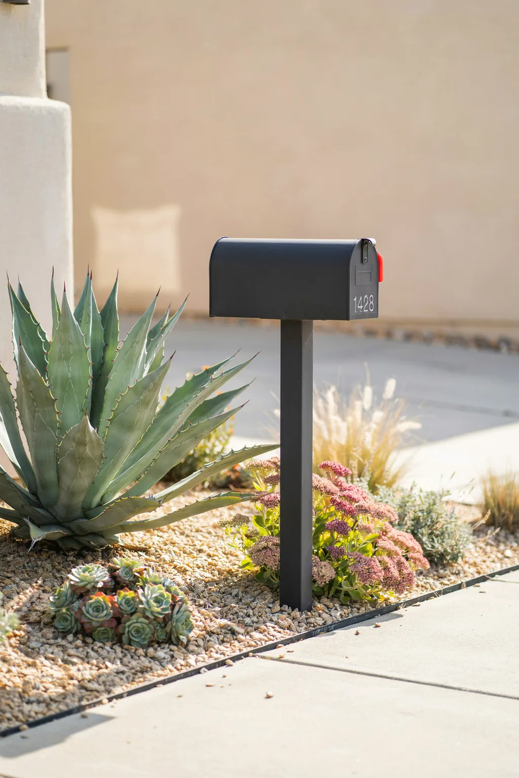 Succulents for Dry Climates